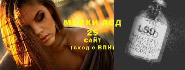 ПСИЛОЦИБИНОВЫЕ ГРИБЫ Арсеньев