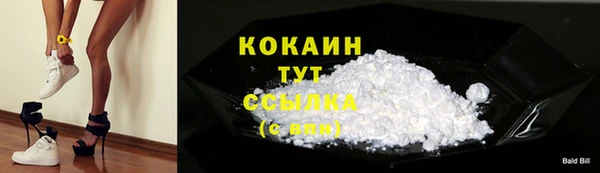 ПСИЛОЦИБИНОВЫЕ ГРИБЫ Арсеньев