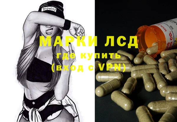 ПСИЛОЦИБИНОВЫЕ ГРИБЫ Арсеньев