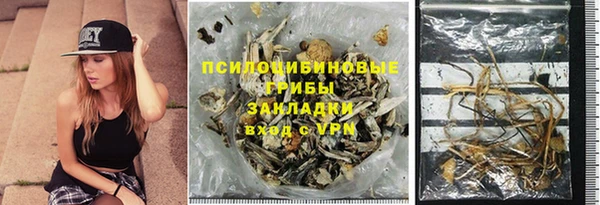 ПСИЛОЦИБИНОВЫЕ ГРИБЫ Арсеньев