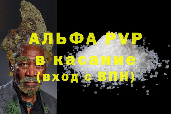 ПСИЛОЦИБИНОВЫЕ ГРИБЫ Арсеньев