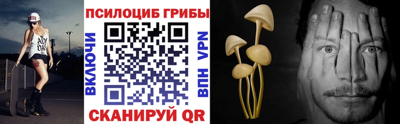 Галлюциногенные грибы MAGIC MUSHROOMS  наркошоп  Грязовец 